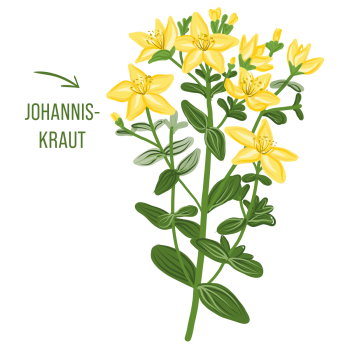 Johanniskrautöl Balsam